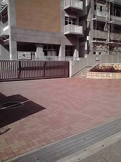 12-03-12_001.jpg